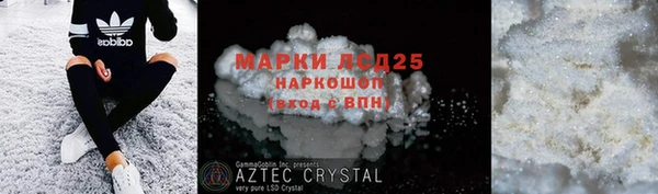 прущие грибы Магадан