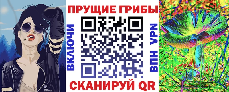 площадка состав  гидра ссылка  Эртиль  Псилоцибиновые грибы MAGIC MUSHROOMS 
